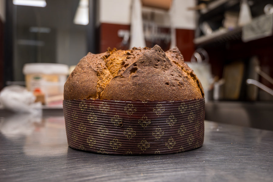 Impasto base per Panettone al cioccolato